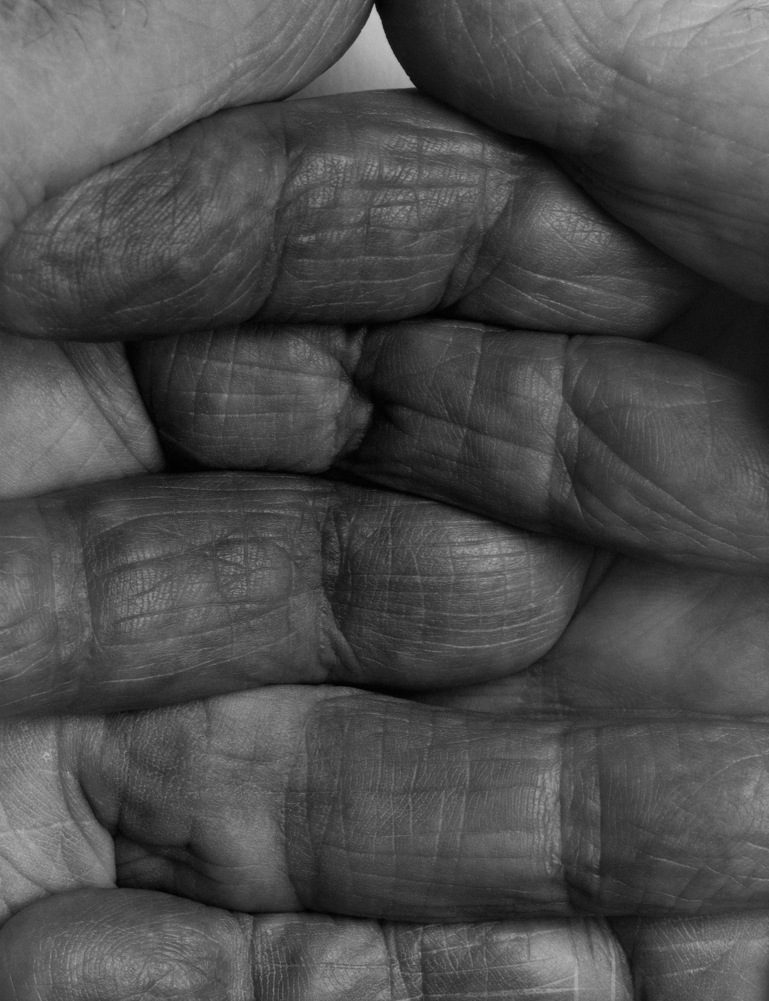 Interlocking Fingers, No. 1, 1999, 36 x 30.jpg