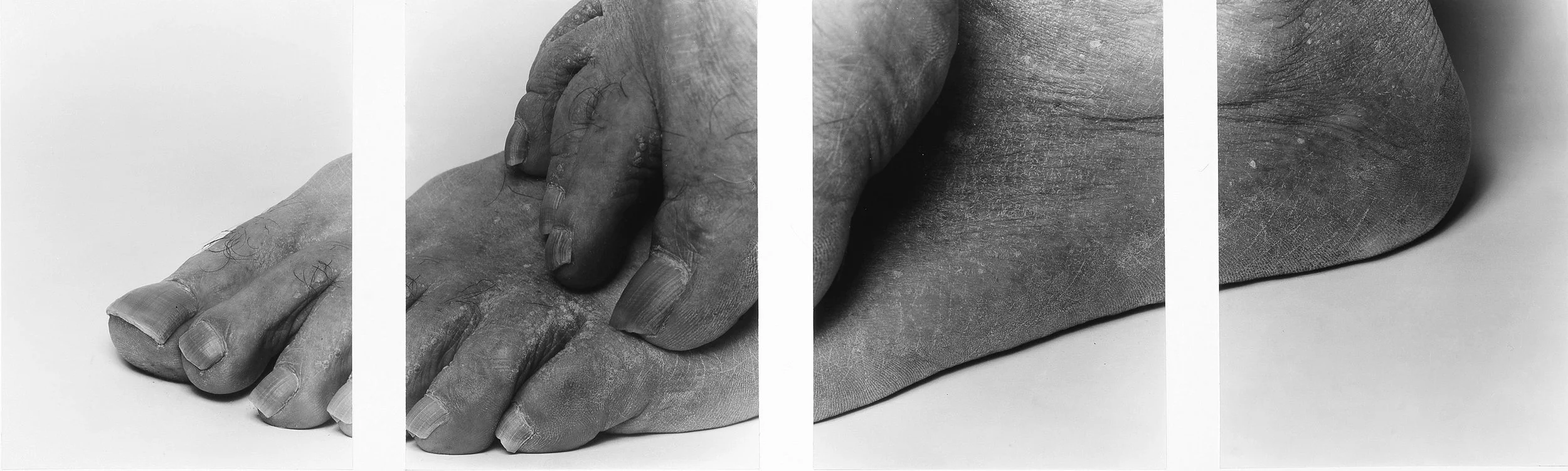 Toes on Foot, Four Panels, 1989.jpeg