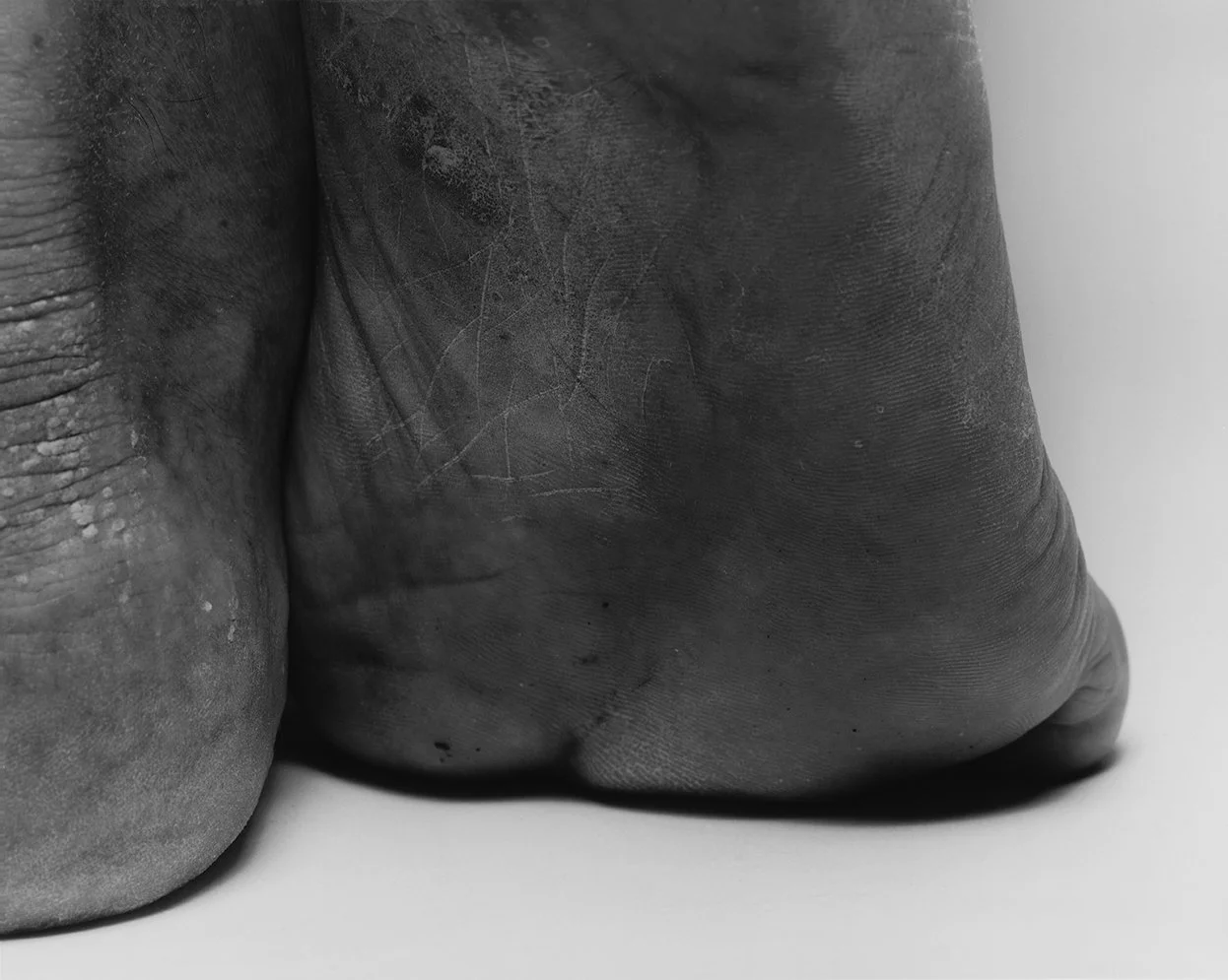 Heel, Dark Sole, 1989, 28x37 copy.jpg