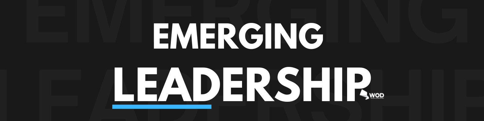 Black and Yellow Web Developer LinkedIn Banner (3).png