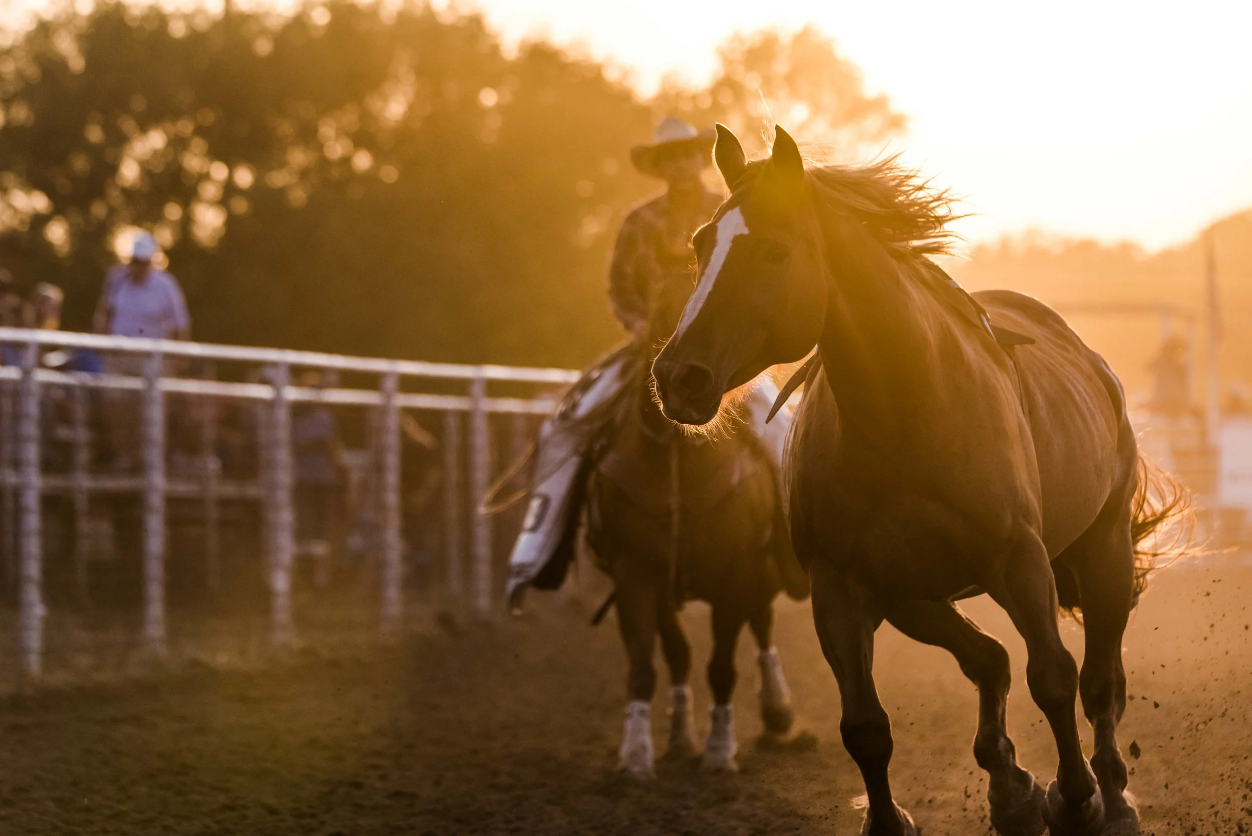 Marble Falls Rodeo, Texas