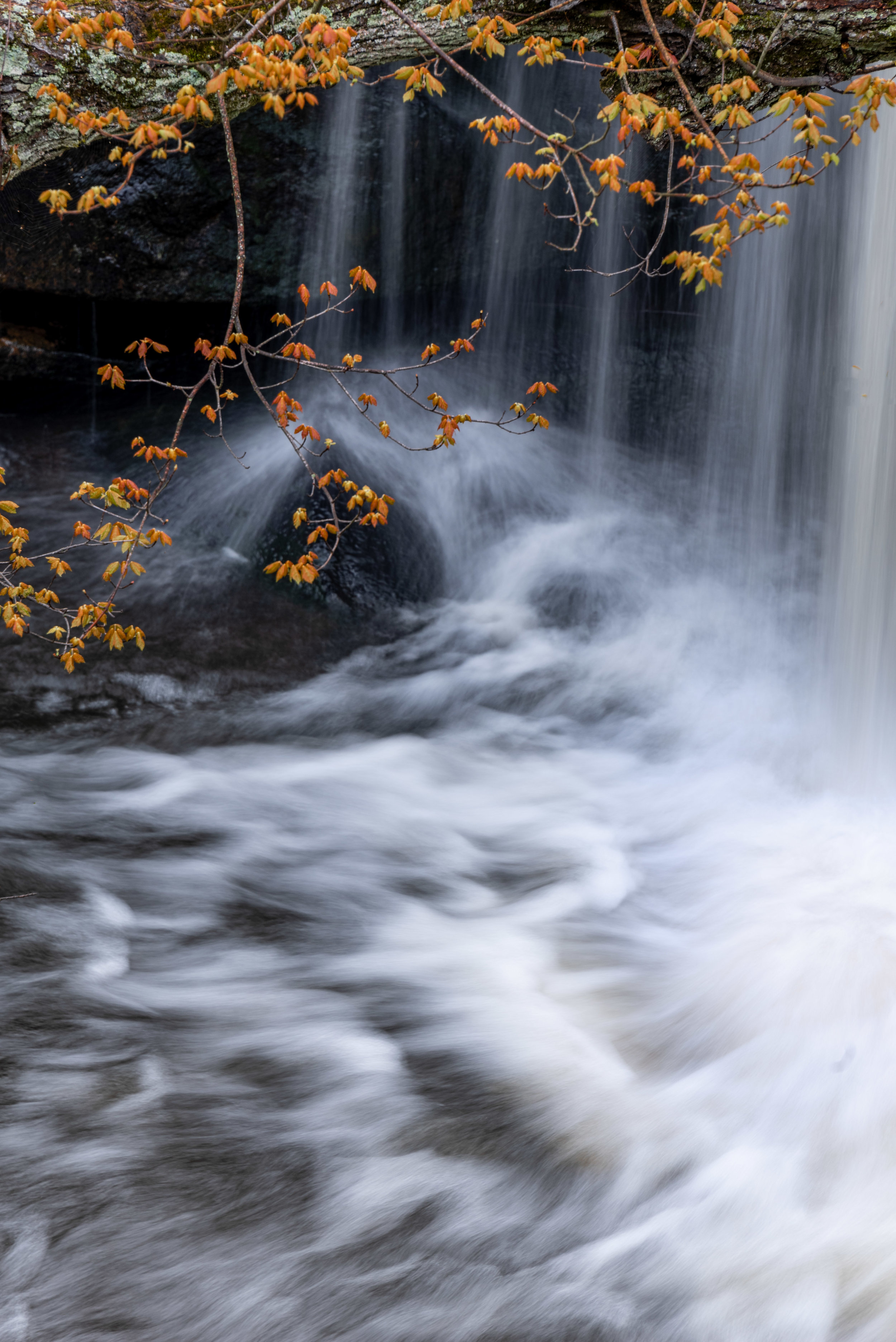 Petit Jean State Park