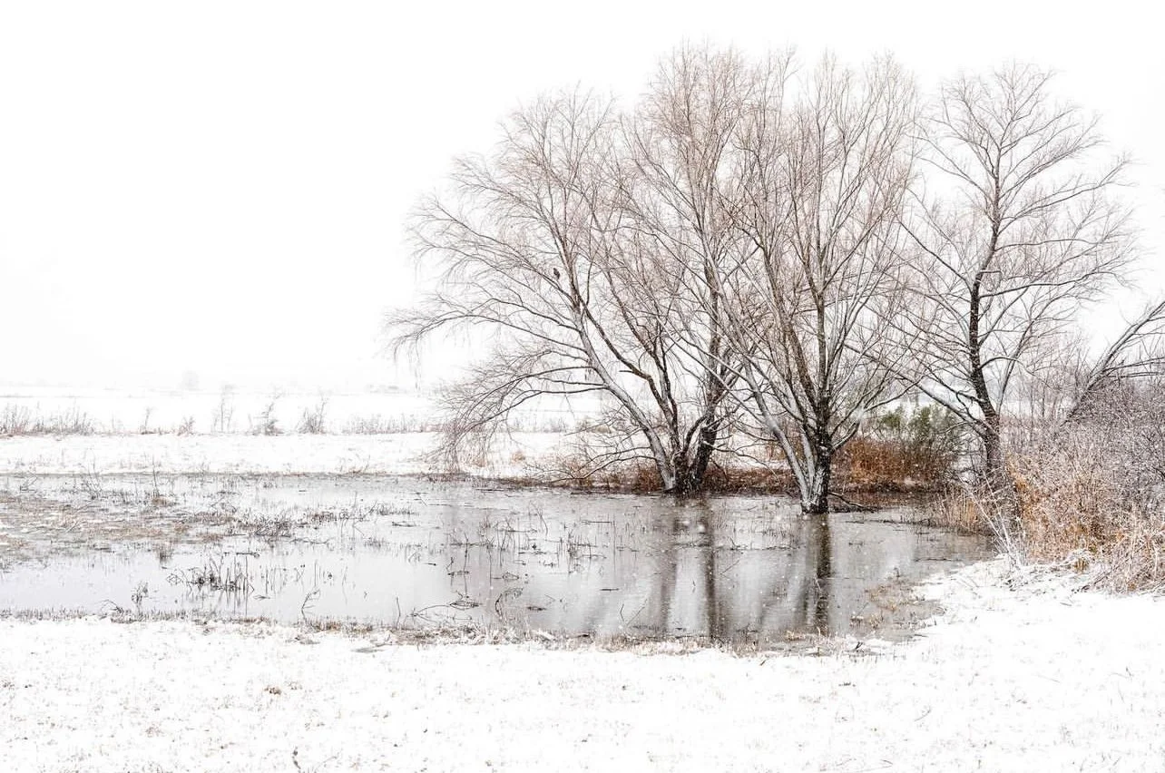 The In-Between Season: Photographing the Quiet Thaw