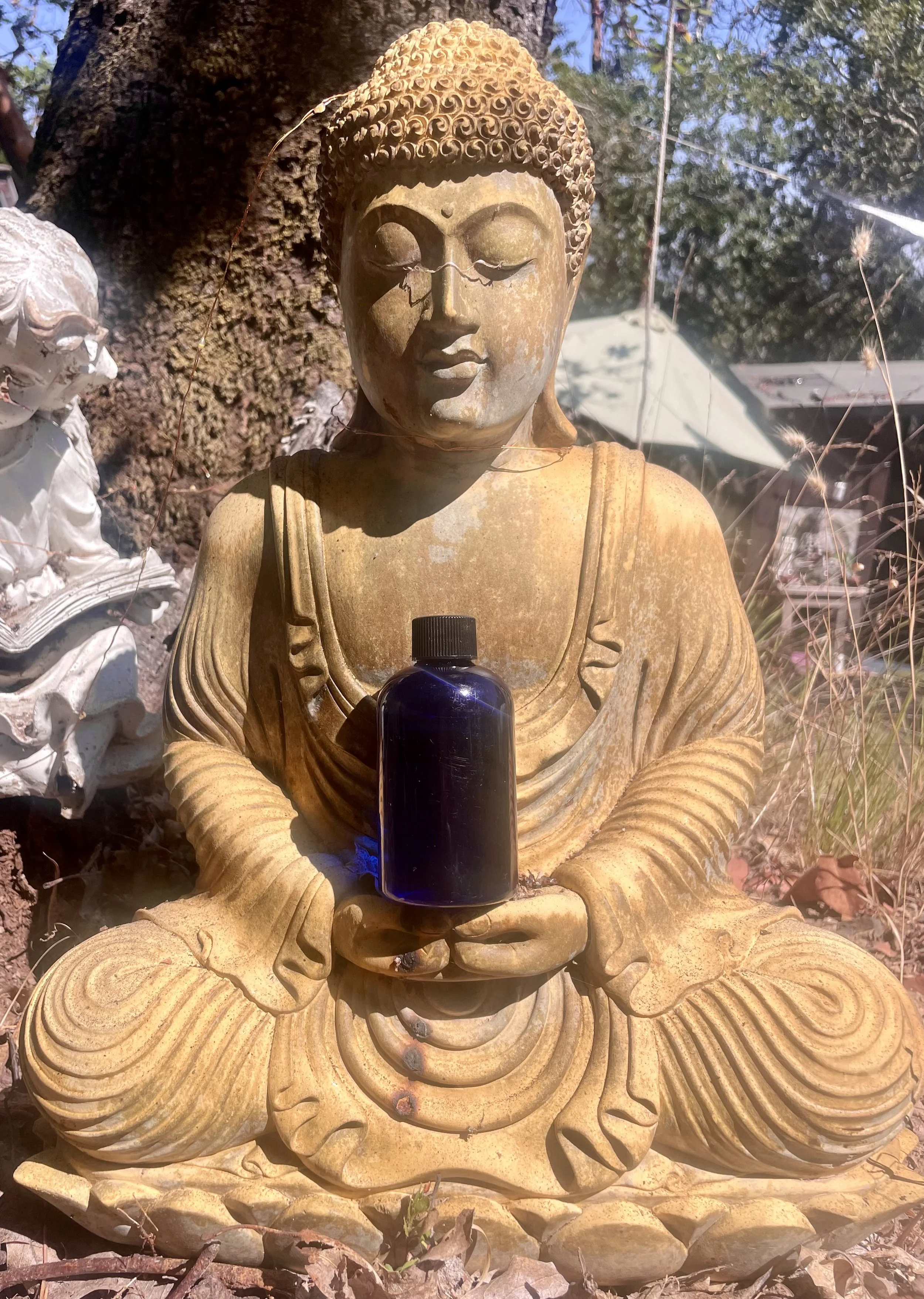 Buddha oils.jpeg