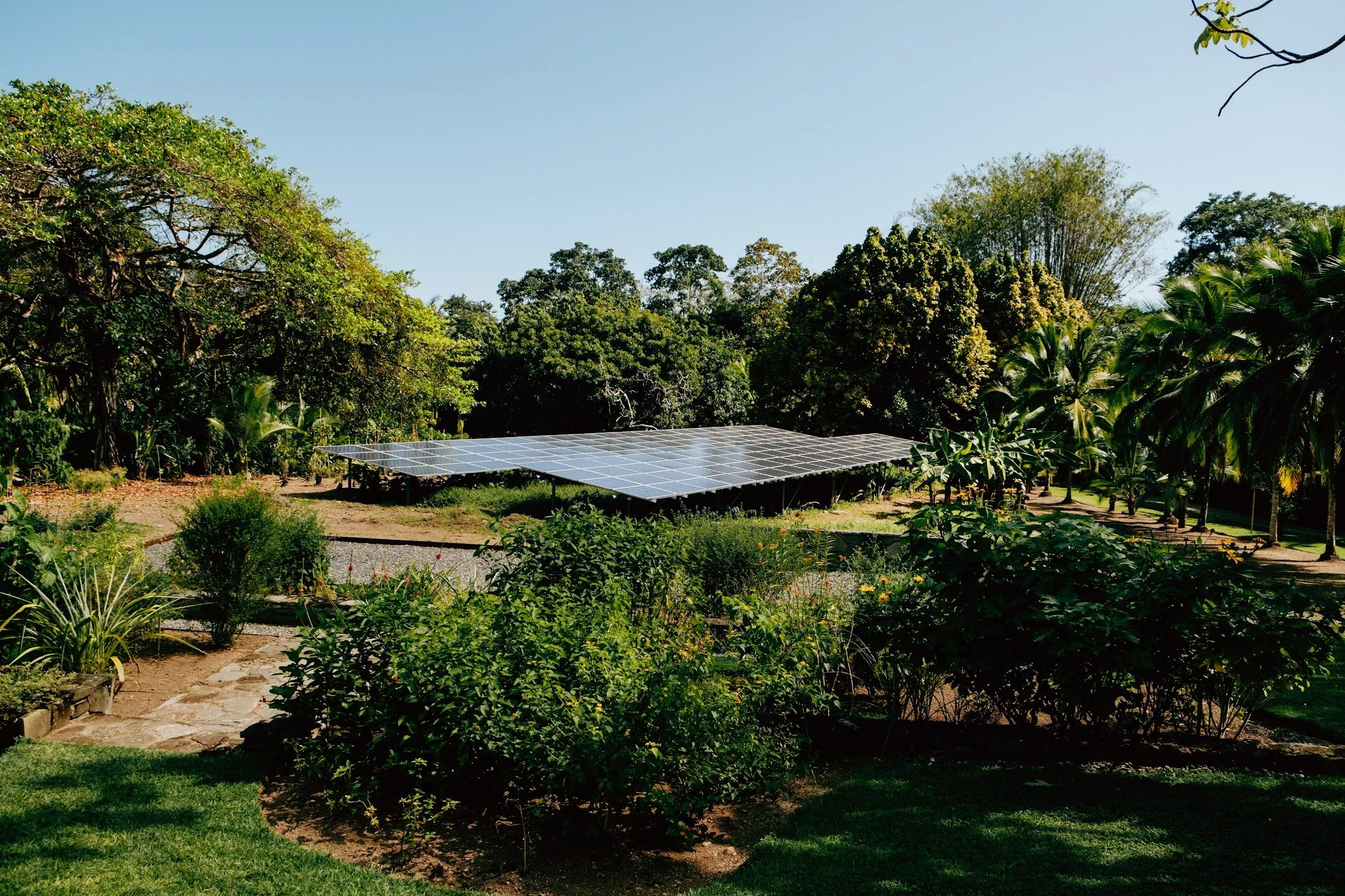 Photo Credit -Felipe Sanchez - Solar Panels.jpeg