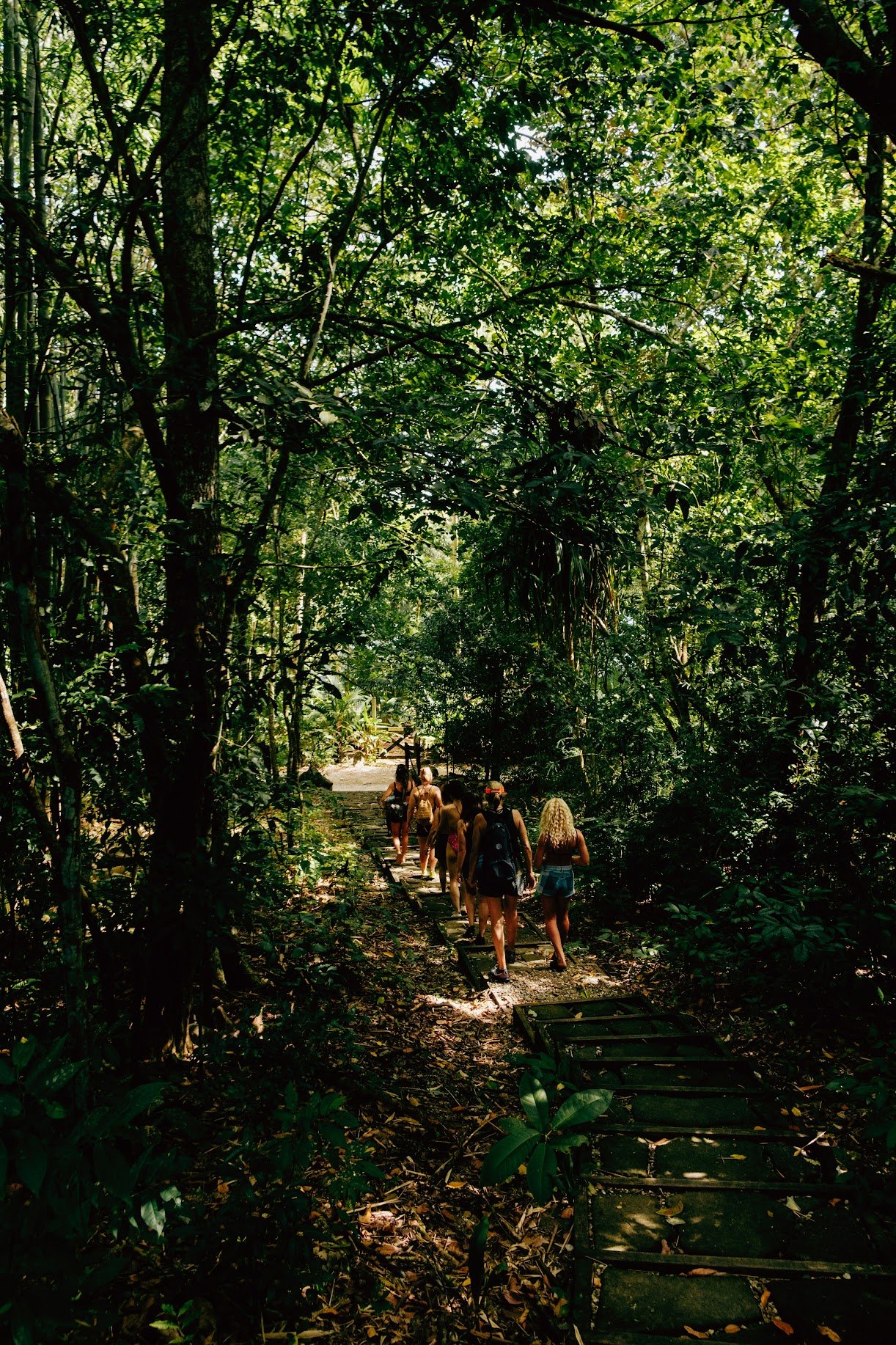 Photo Credit -Felipe Sanchez IMG_1169.jpeg