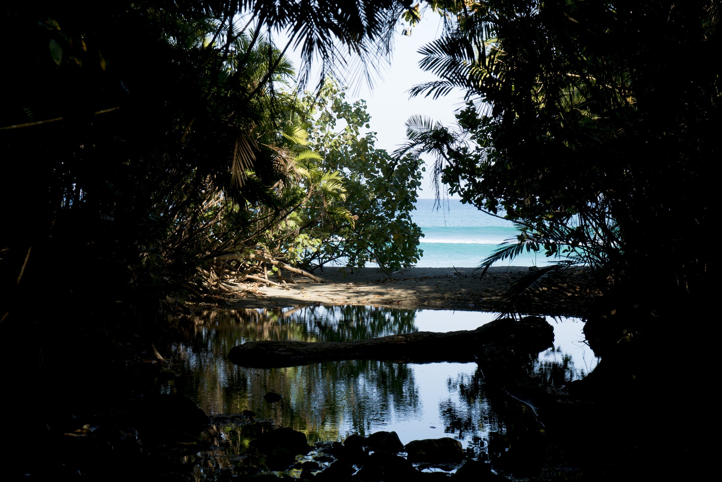 _DSC9856.jpg