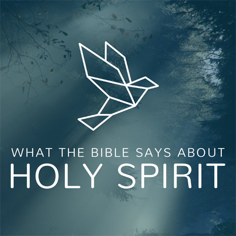 What the Bible Says About HolySpirit course art 480x480.png