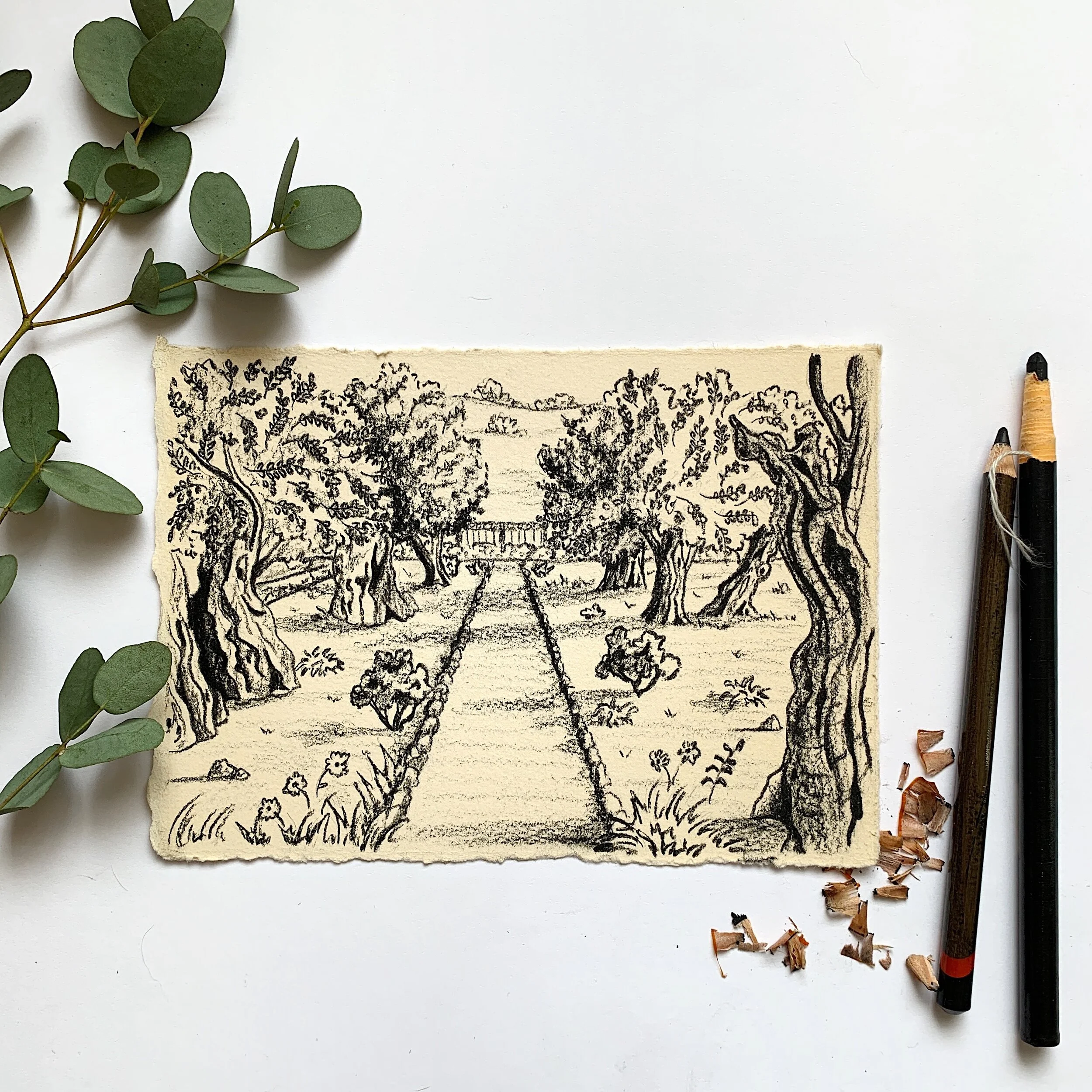 Garden of Gethsemane 