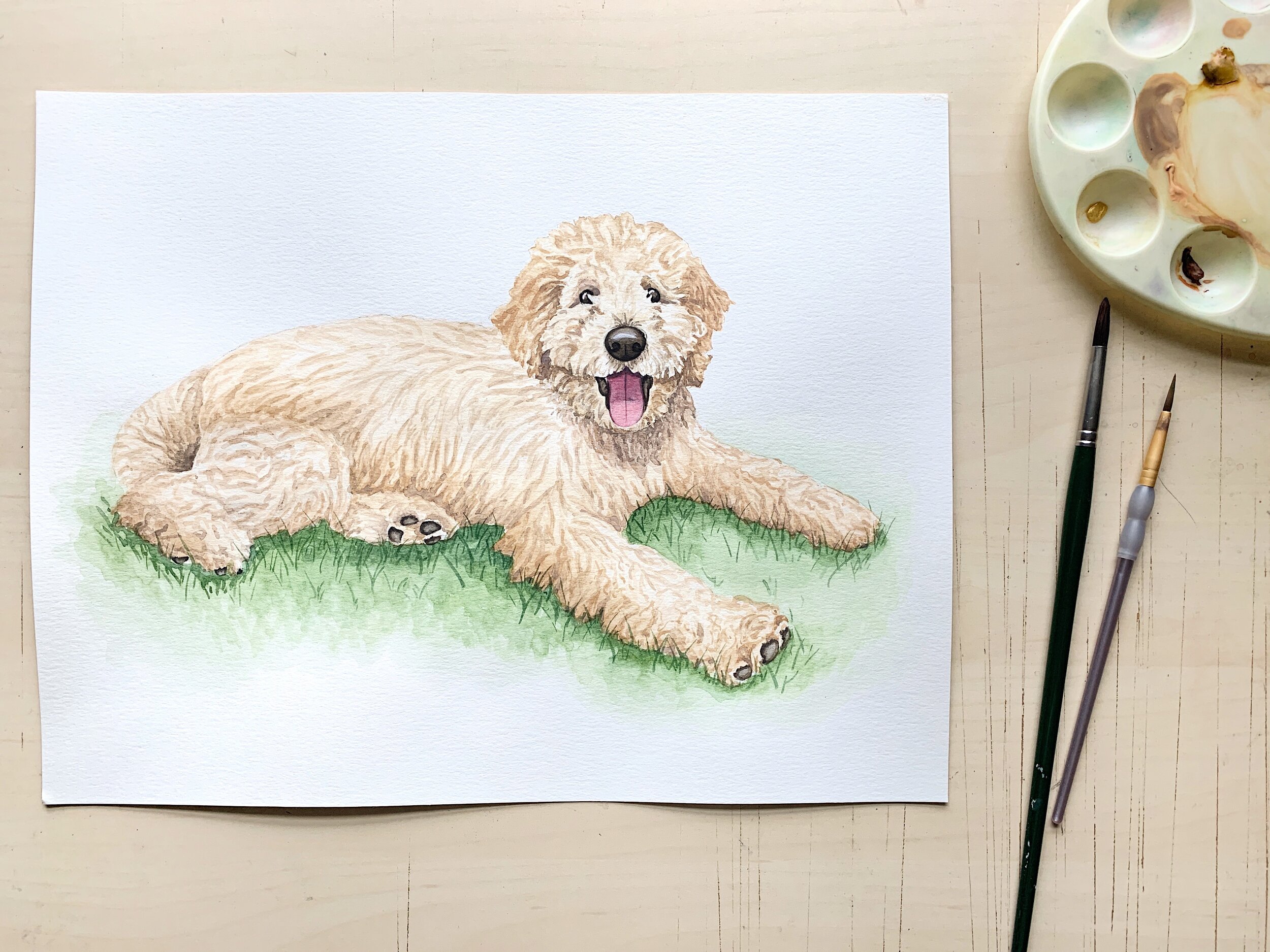 4202B44F-0304-4E04-BCA4-895355F0DE18 2.JPG