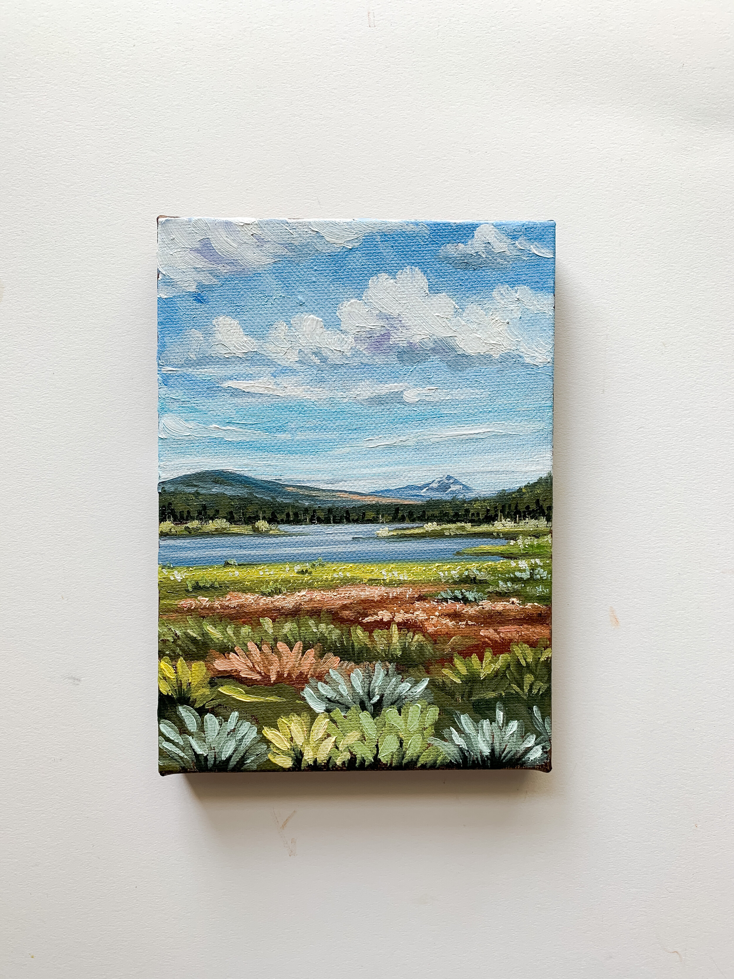 Colors of Lake Dillon