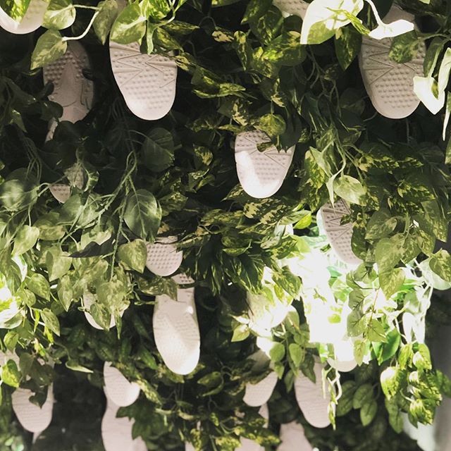 Air Jordans growing on trees... store is always on point @ronniefieg @snarkitecture @michilli.inc