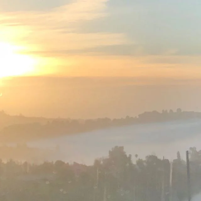 Good morning Beverly Hills.... daily drive. No filter&mdash;nothing.