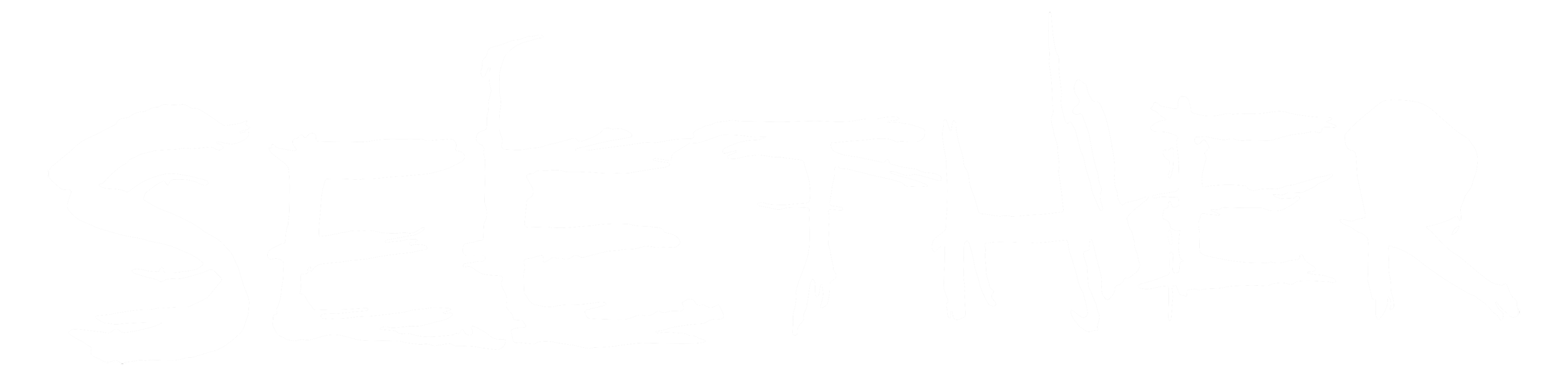 Seether | Official Website, image size:2500x600