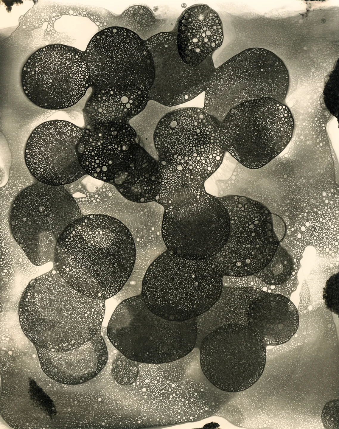 Developer Abstraction 12.18.2015, Unique Silver Gelatin Print, 10 x 8 inches