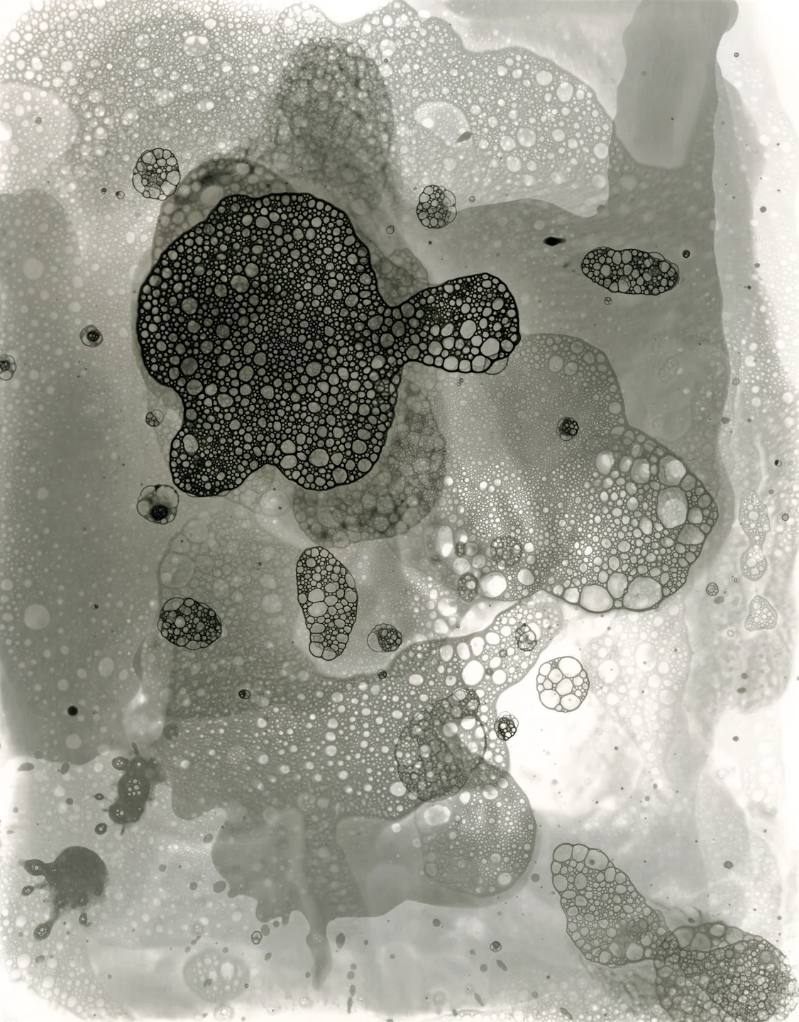 Developer Abstraction 5.28.2015, Unique Silver Gelatin Print, 10 x 8 inches