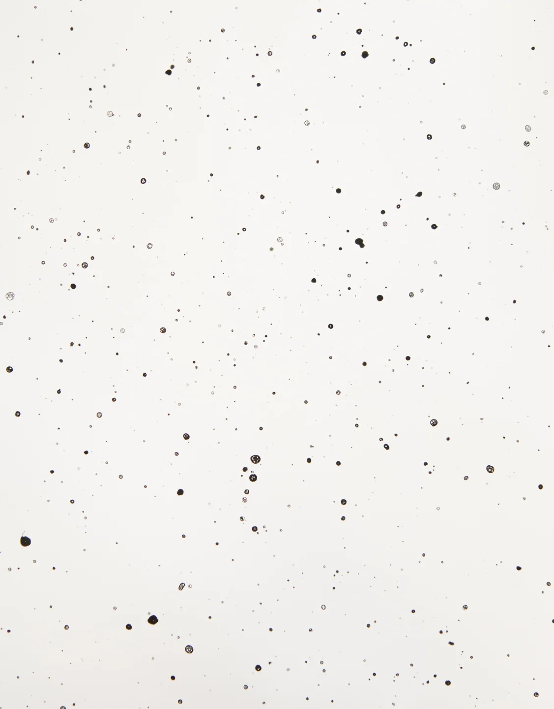 Developer Abstraction 7.10.2015, Unique Silver Gelatin Print, 20 x 16 inches