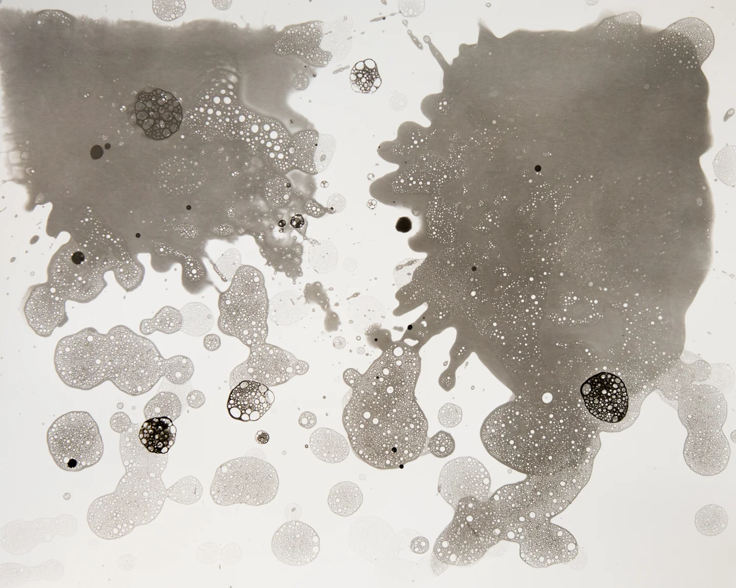 Developer Abstraction 5.26.2015, Unique Silver Gelatin Print, 16 x 20 inches