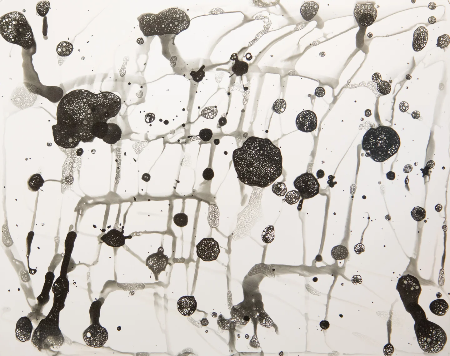 Developer Abstraction 1.14.2015, Unique Silver Gelatin Print, 16 x 20 inches