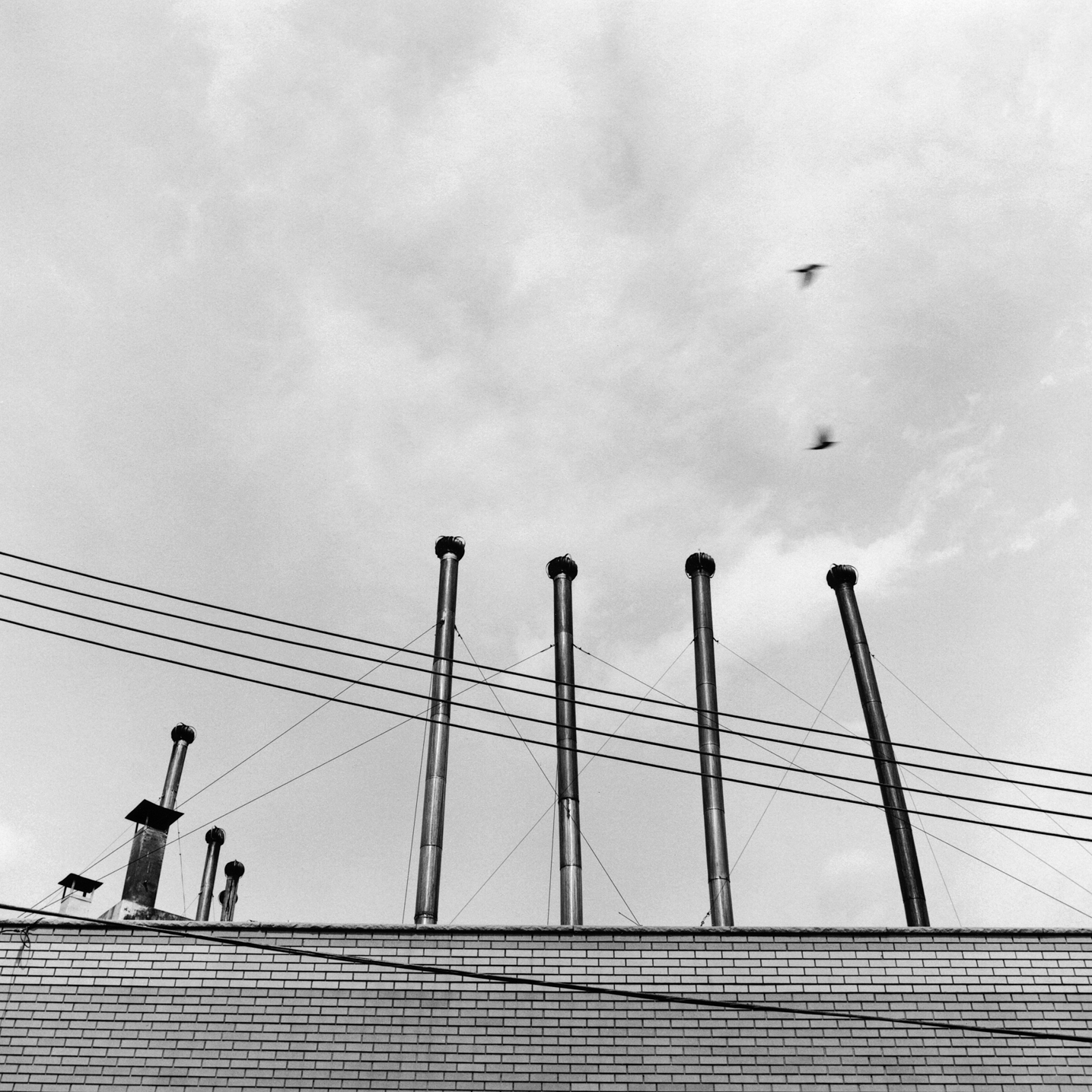 Factory Pipes, Brooklyn, NY, 2006