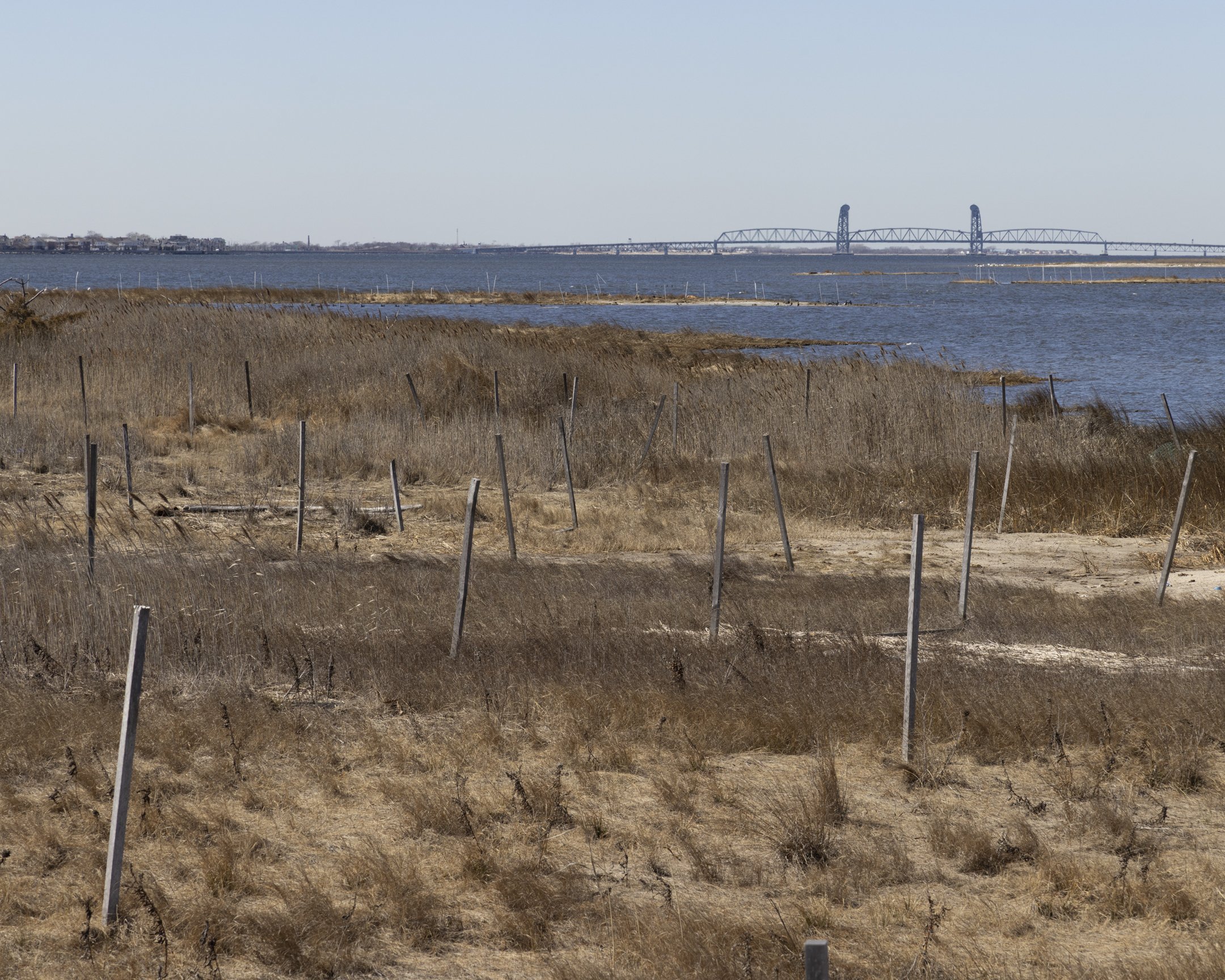 Gil Hodges Memorial Bridge, 2025
