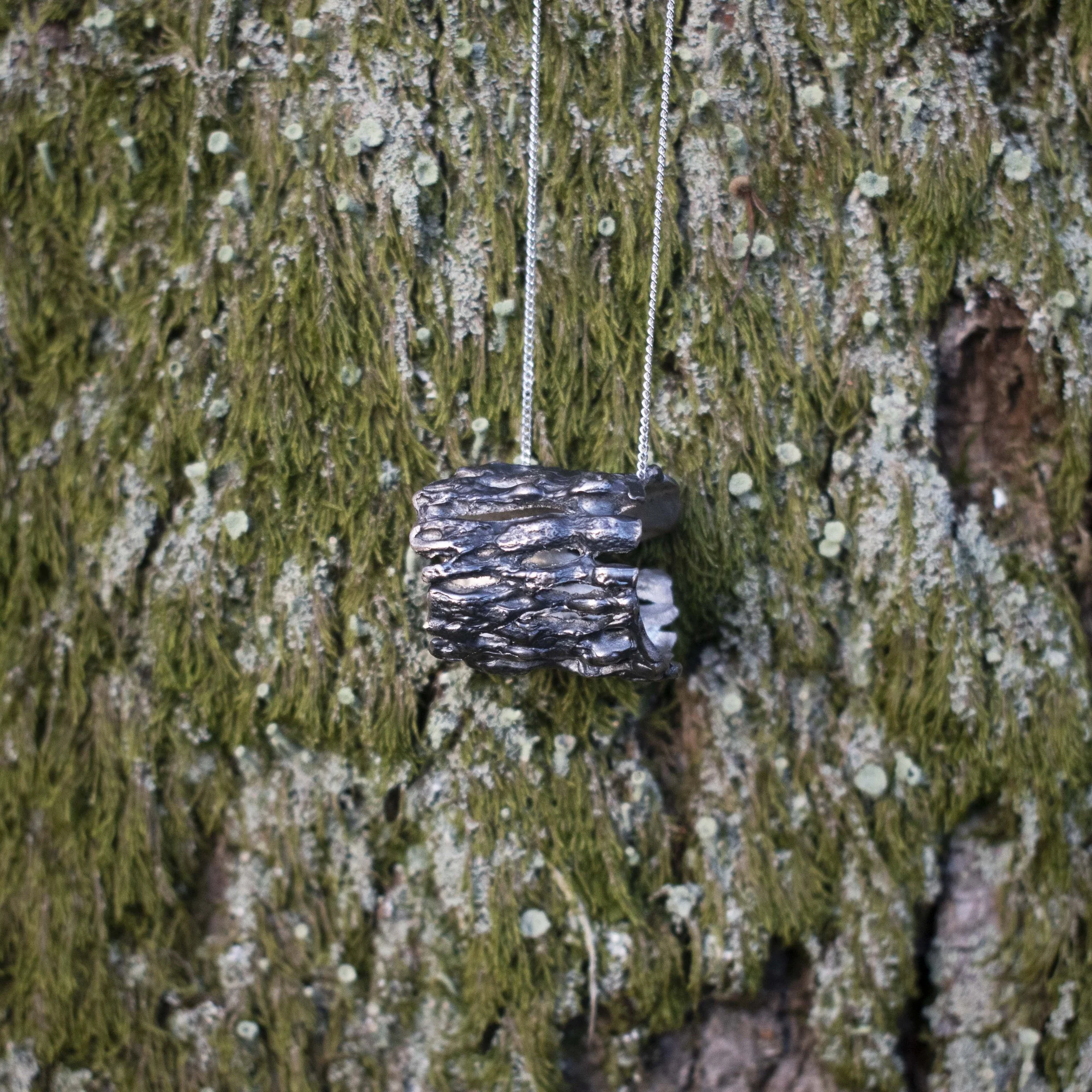 CHNRSIL006a.jpg