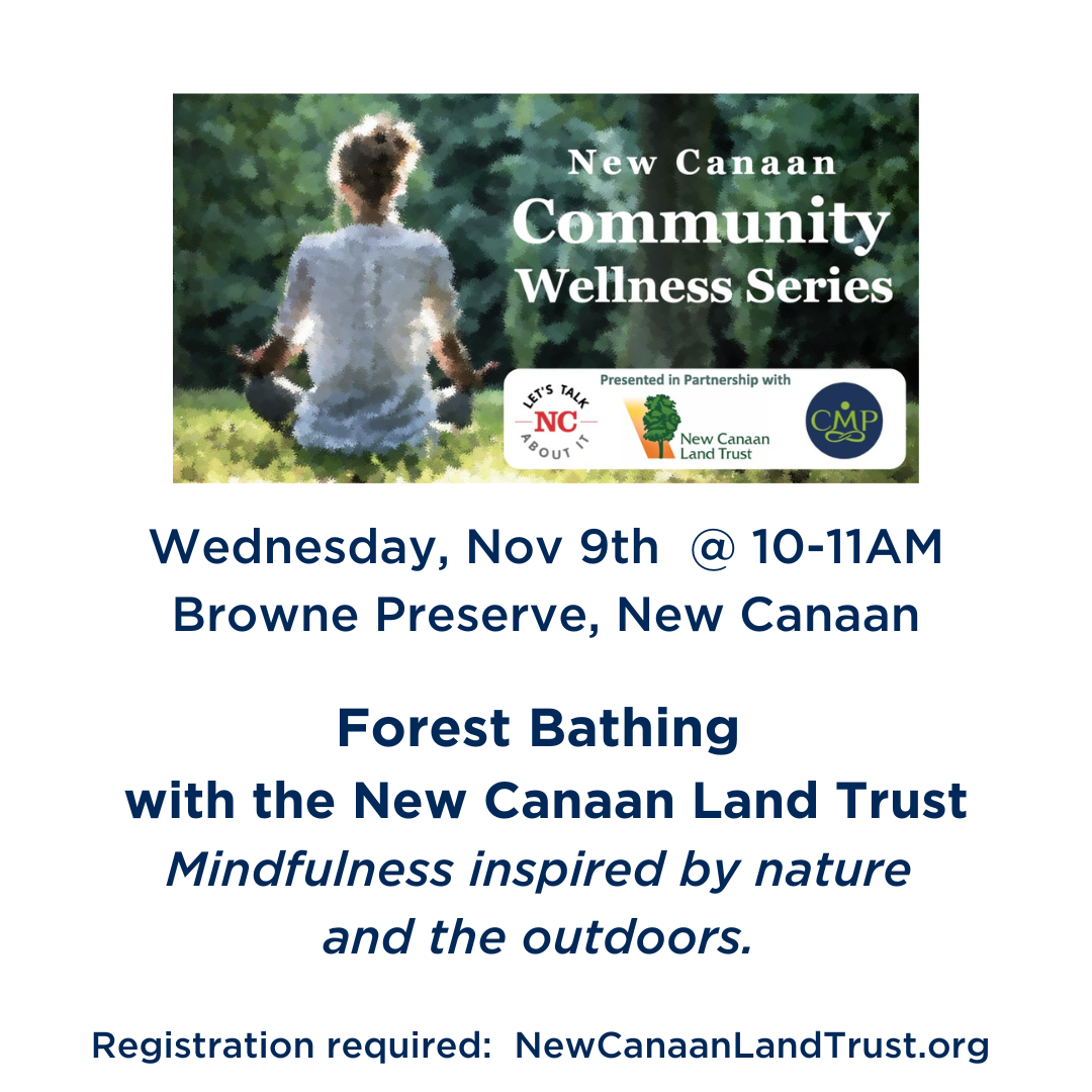 Forest Bathing :  Wed Nov 9 in New Canaan