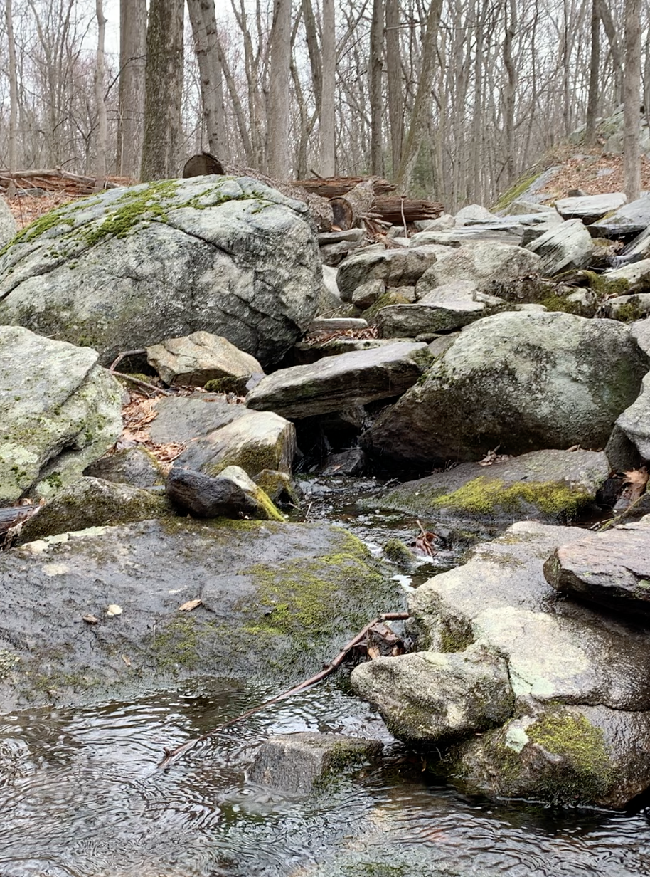 The Trail Not Taken... and the Unexpected Joy that Followed