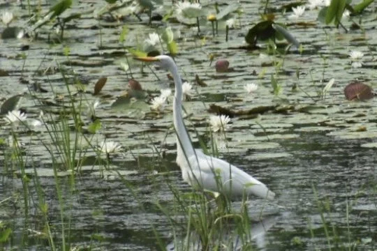 Flying without armor