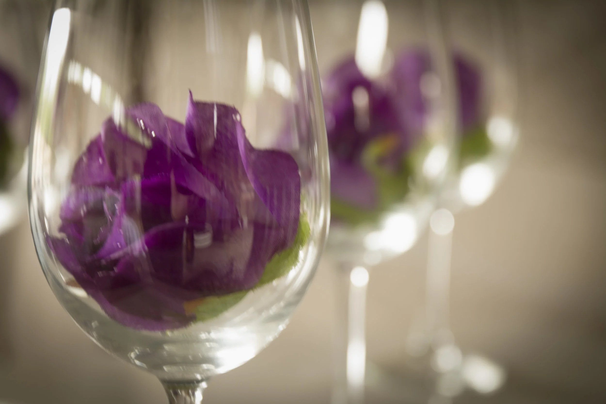 2015_05_16-Lum_Wedding__WSH7273__2015_Echo_Arkansas.jpg
