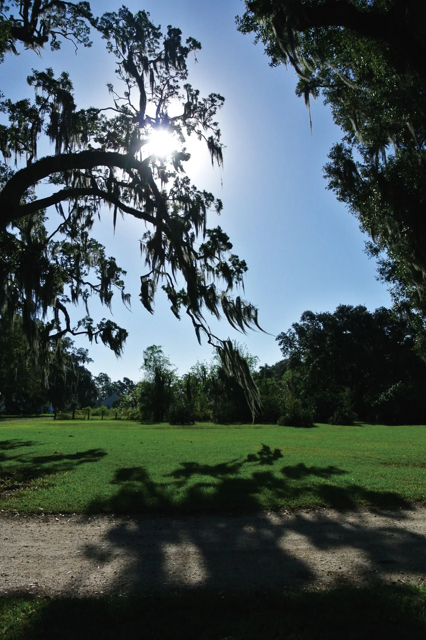 new-orleans-architectural-photography-urban-landscape_22334062680_o.jpg