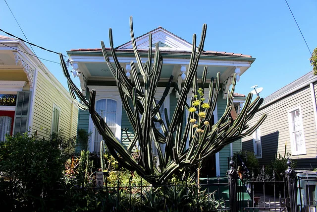 new-orleans-architectural-photography-urban-landscape_22533145471_o.jpg