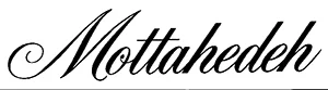 Mottahedeh_web.jpg