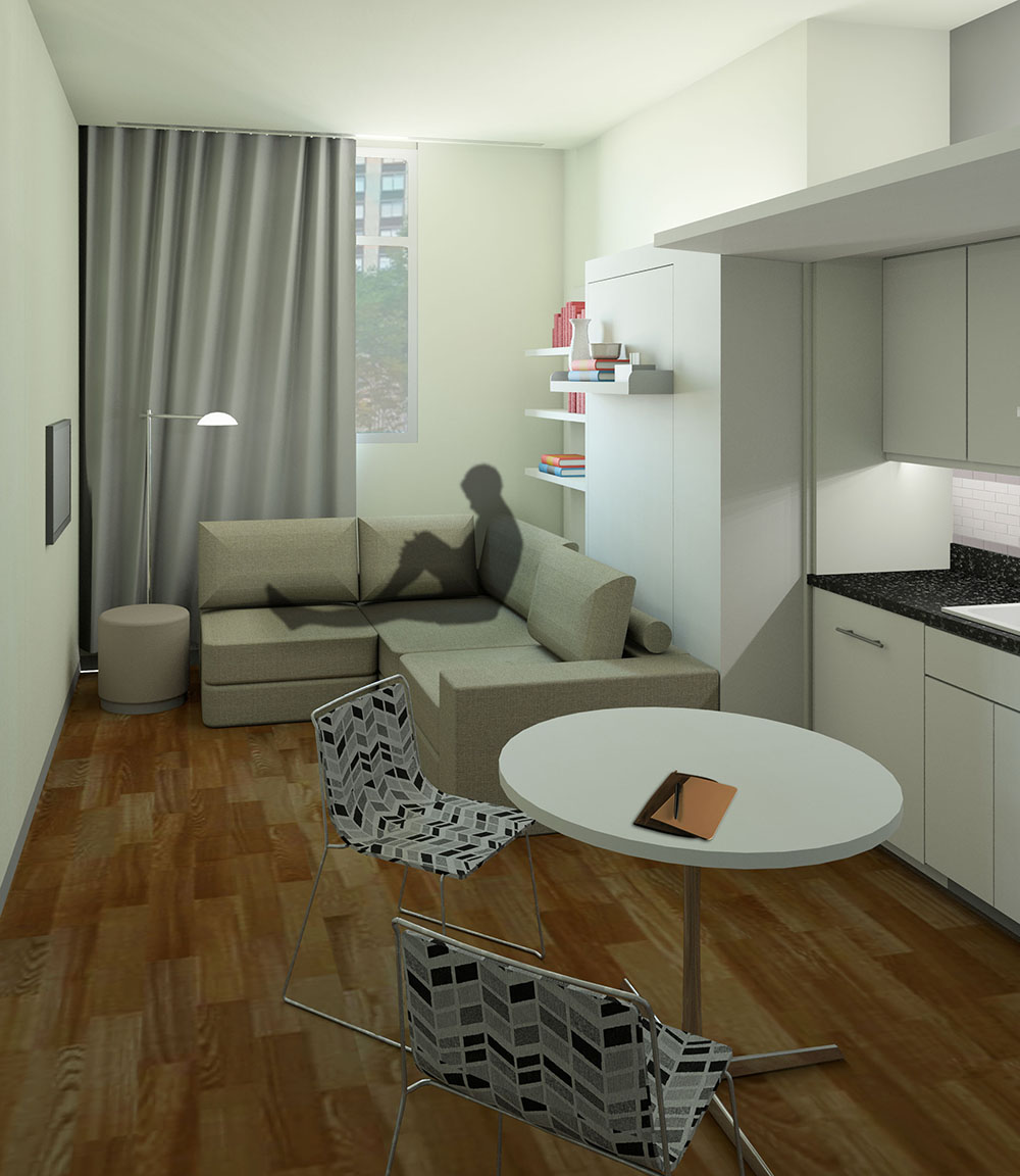 carrie-anne-li-mfa-1-jericho-project--park-avenue-south_26956565275_o.jpg