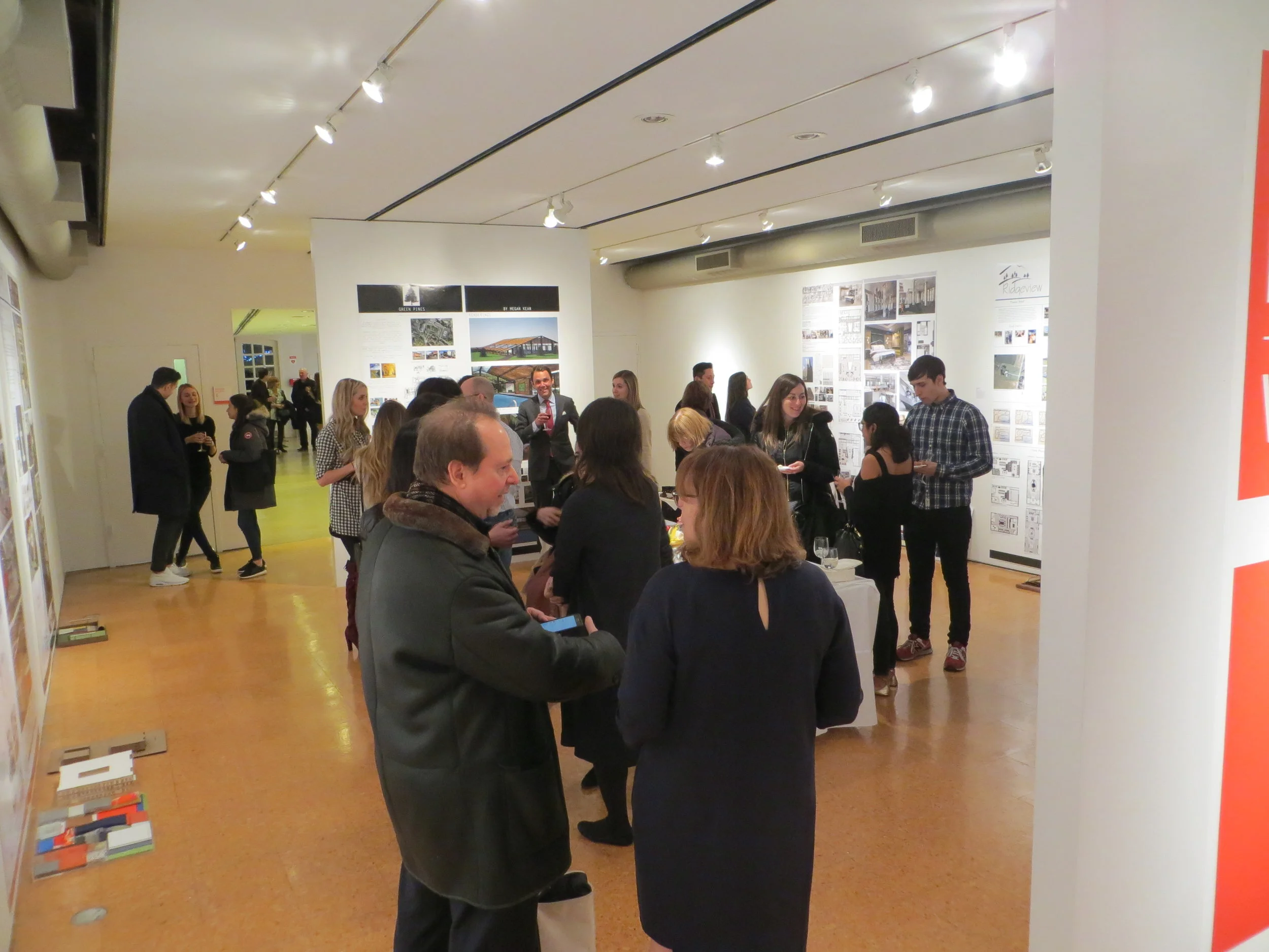 bfa-2017-winter-thesis-projects-exhibition_32753250055_o.jpg