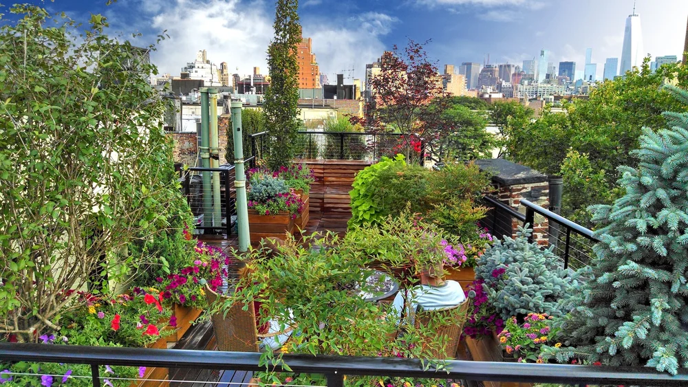 CE515 Basics of Garden Design — New York School of Interior Design