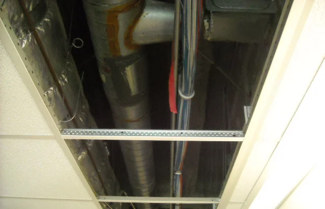 hoag4.jpg