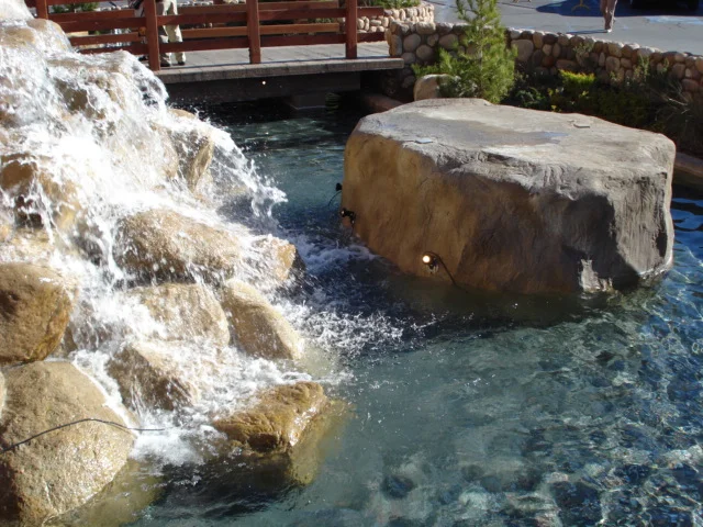 pond.jpg
