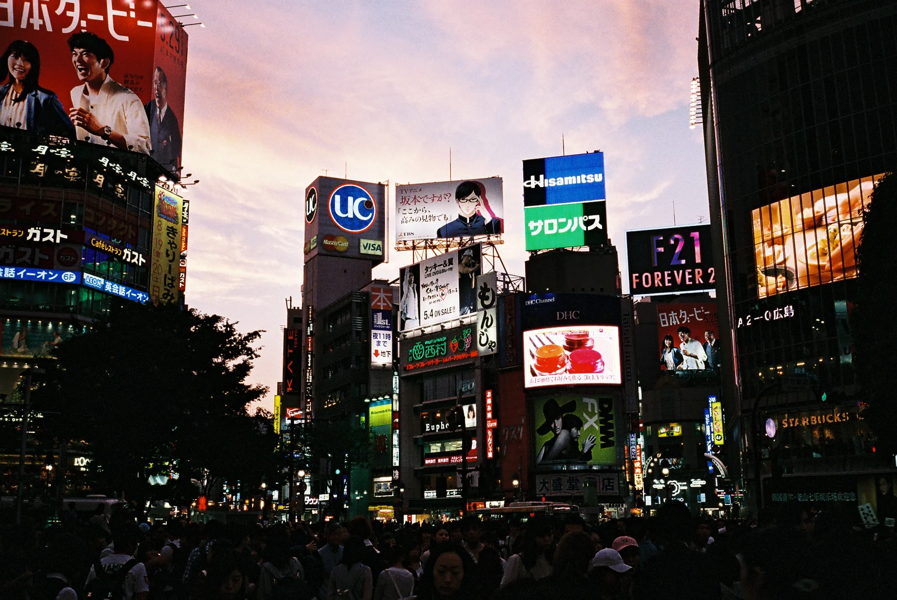Tokyo Coffee Guide: Shibuya (渋谷)