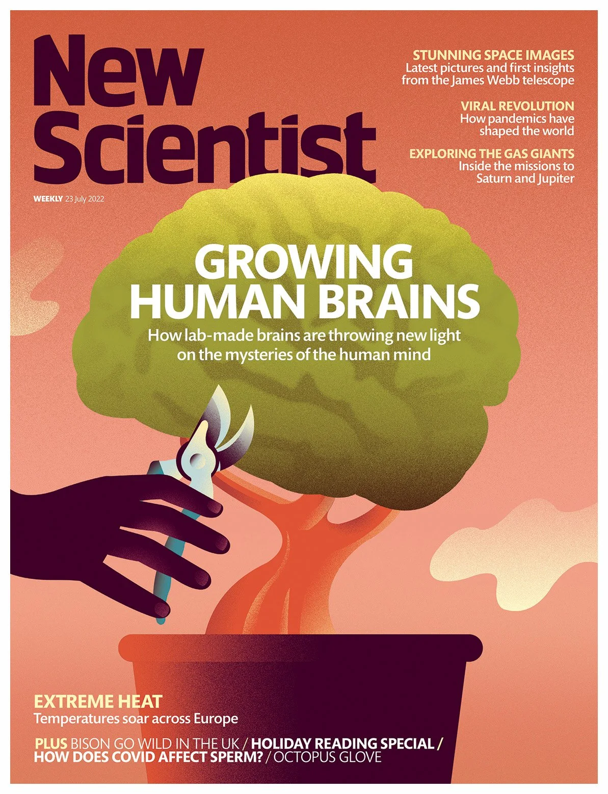 New Scientist_brain.jpg