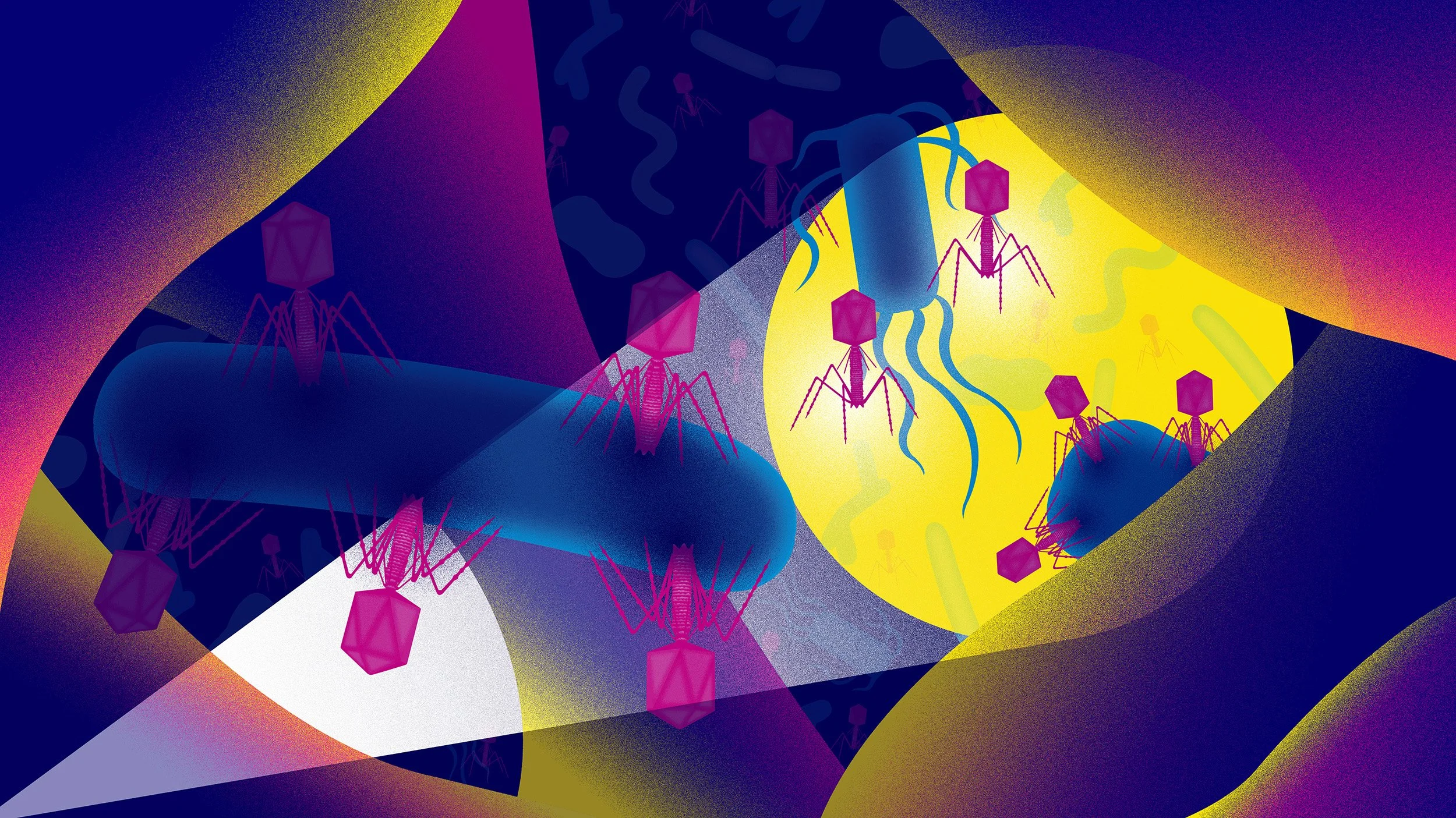 Conceptual scientific illustration of the gut microbiome and bacteria-killing viruses (phages) for Nature Magazine by Neil Webb.