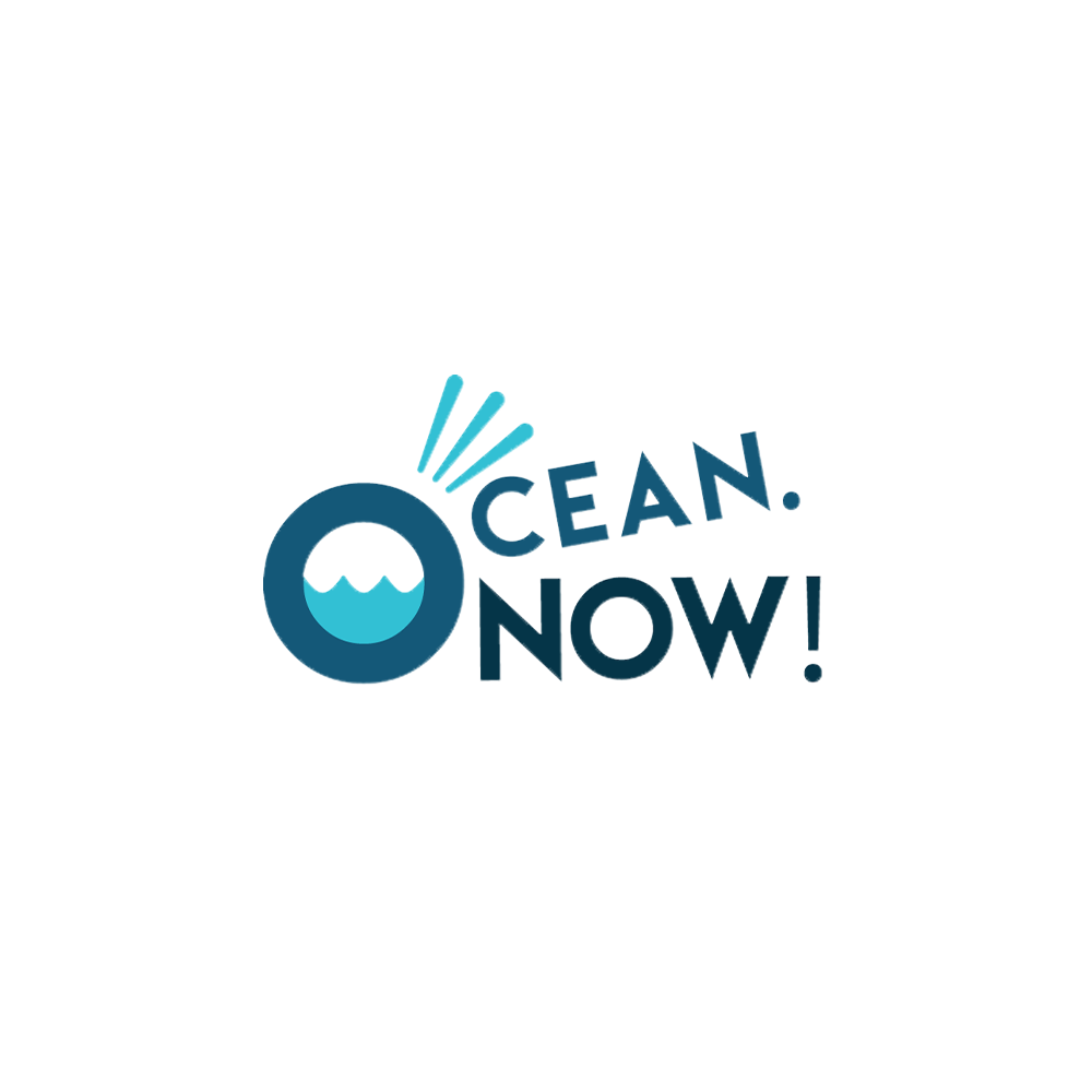 ocean_now_logo_colour_rgb.png