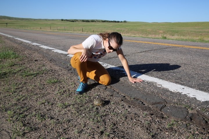  Artist Miranda Bair looks for turtles 