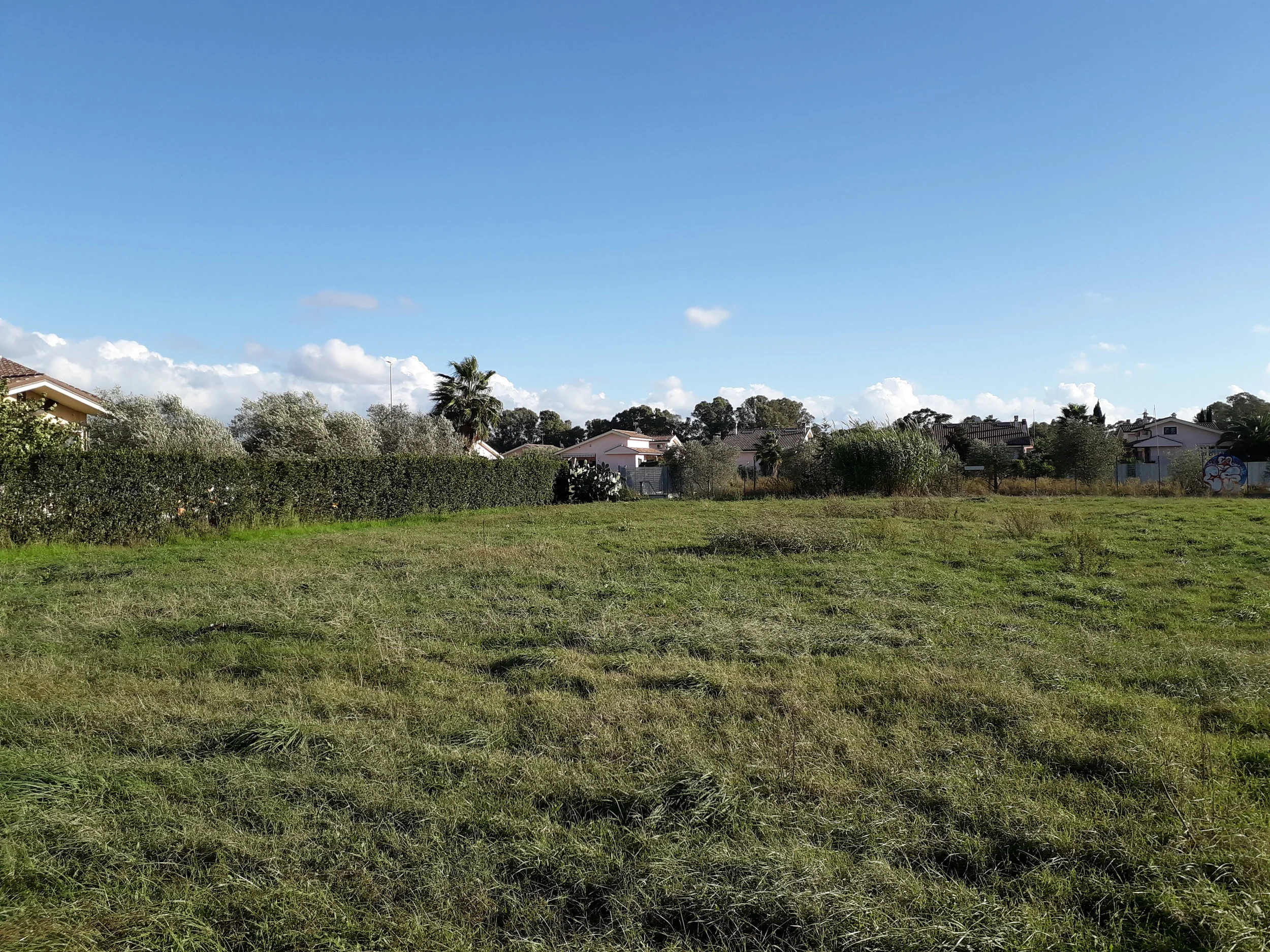 20181030_101104.jpg
