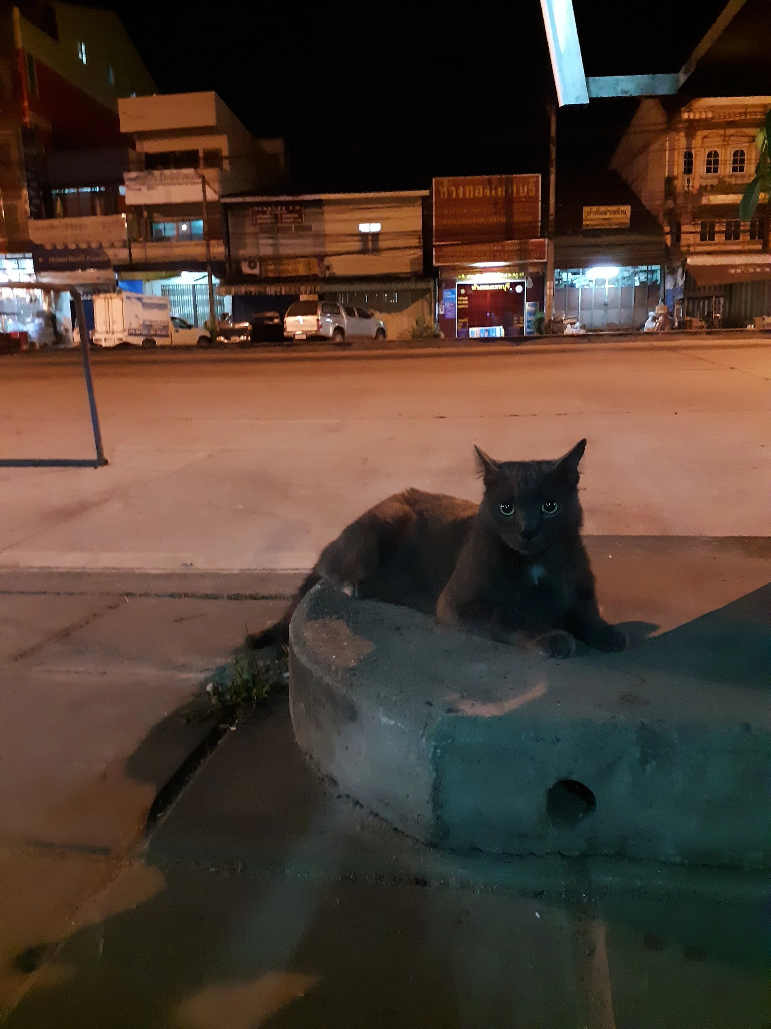 20181124_091739.jpg