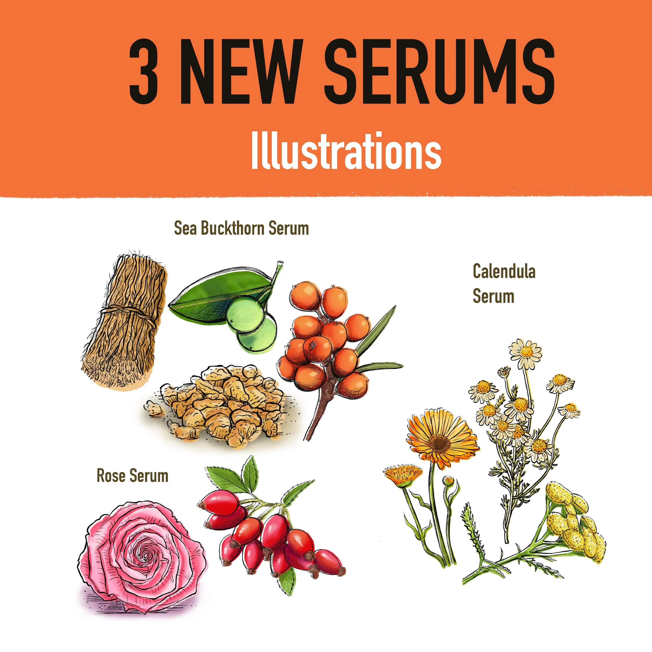 3 New Serums: 9 Illustrations