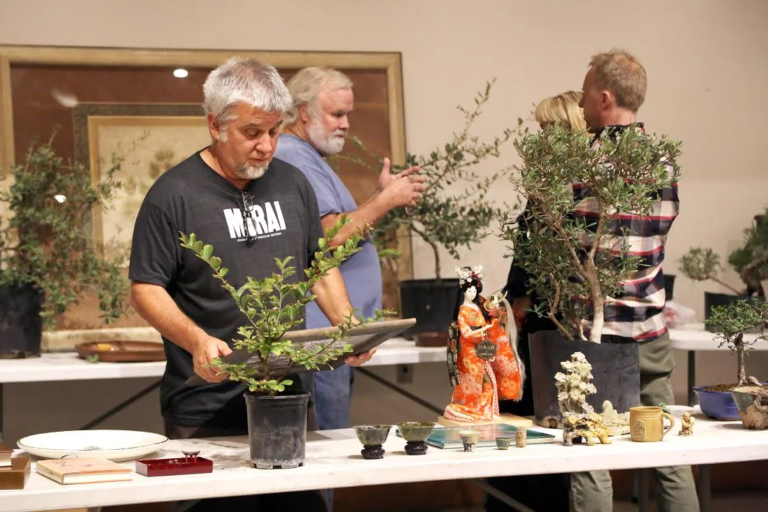 2017 DBS Potluck & Auction 3.jpg
