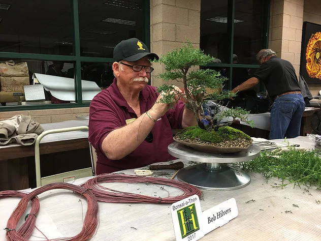  It is an honor to have the curator of The GSBF Clark Bonsai Collection, Mr. Bob Hilvers, come down to provide this month's demo. Please join us on April 17th where Bob will do a Juniper Tree demonstration which will be RAFFLED OFF! You can visit the Clark Collection Here: http://www.clarkbonsaicollection.com/ Bob Hilvers Biography: Bob Hilvers first took up the art of bonsai almost thirty years ago as a hobby. Bob is a past president of the Hanford Bonsai society, as well as the Golden State Bonsai Federation. He holds an adult teaching credential for the instruction of bonsai at the college level, and was one of the first “Bonsai Basics” instructors certified by the GSBF. He has written many articles for bonsai and art publications, presented lectures and demonstration programs for various bonsai organizations around the state, and has several Penjing (a Chinese form of bonsai) included in the permanent collection at the Huntington Library, Gardens and Art Museum. Now retired after a 36 year career in Public Safety, Bob keeps very busy as the Curator of the GSBF Clark Bonsai Collection at the Shinzen Friendship Garden in Fresno.