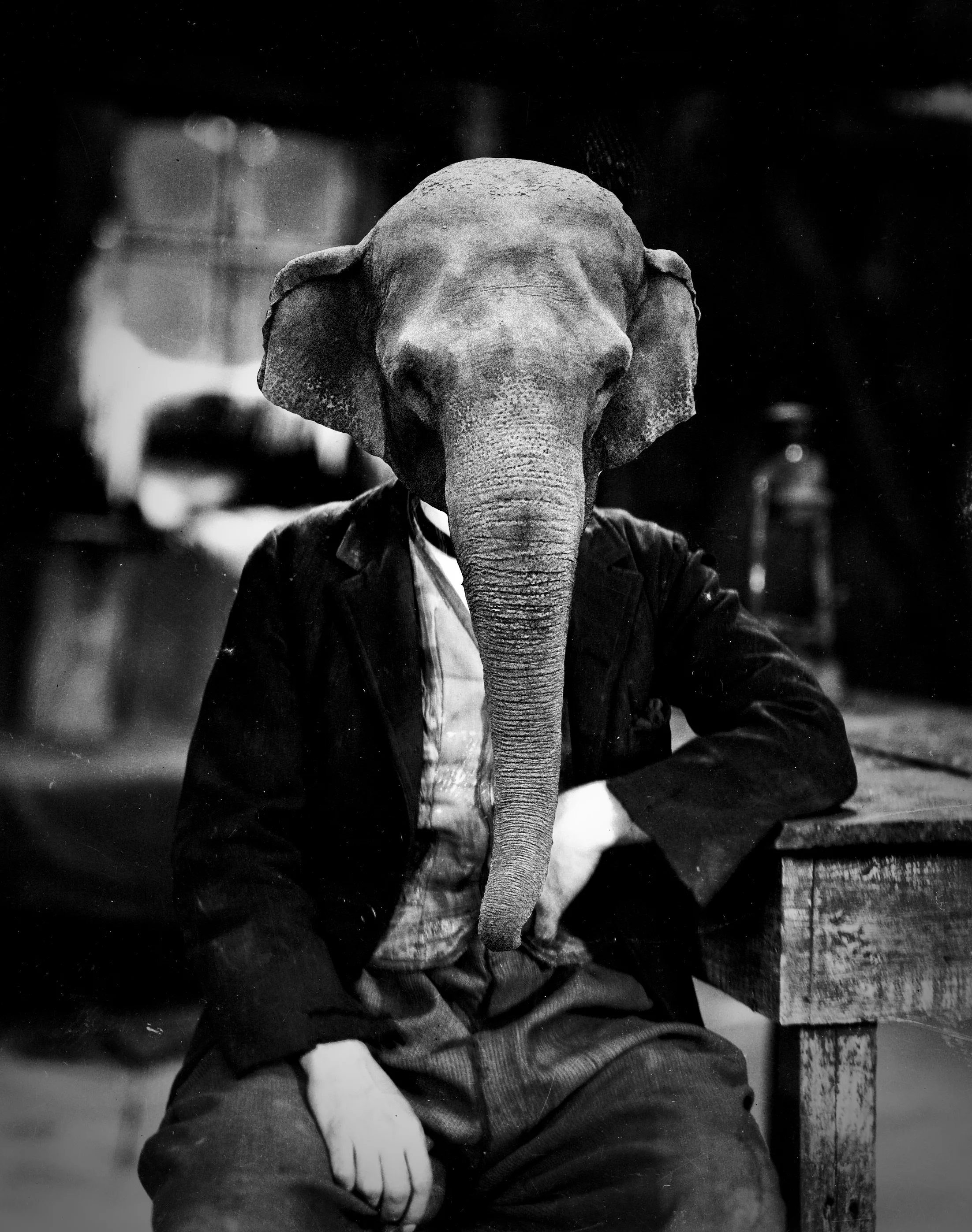Elephant Man.jpg