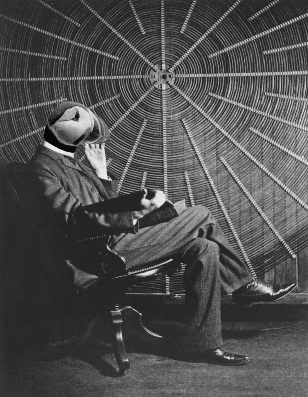 Puffin Tesla.jpg